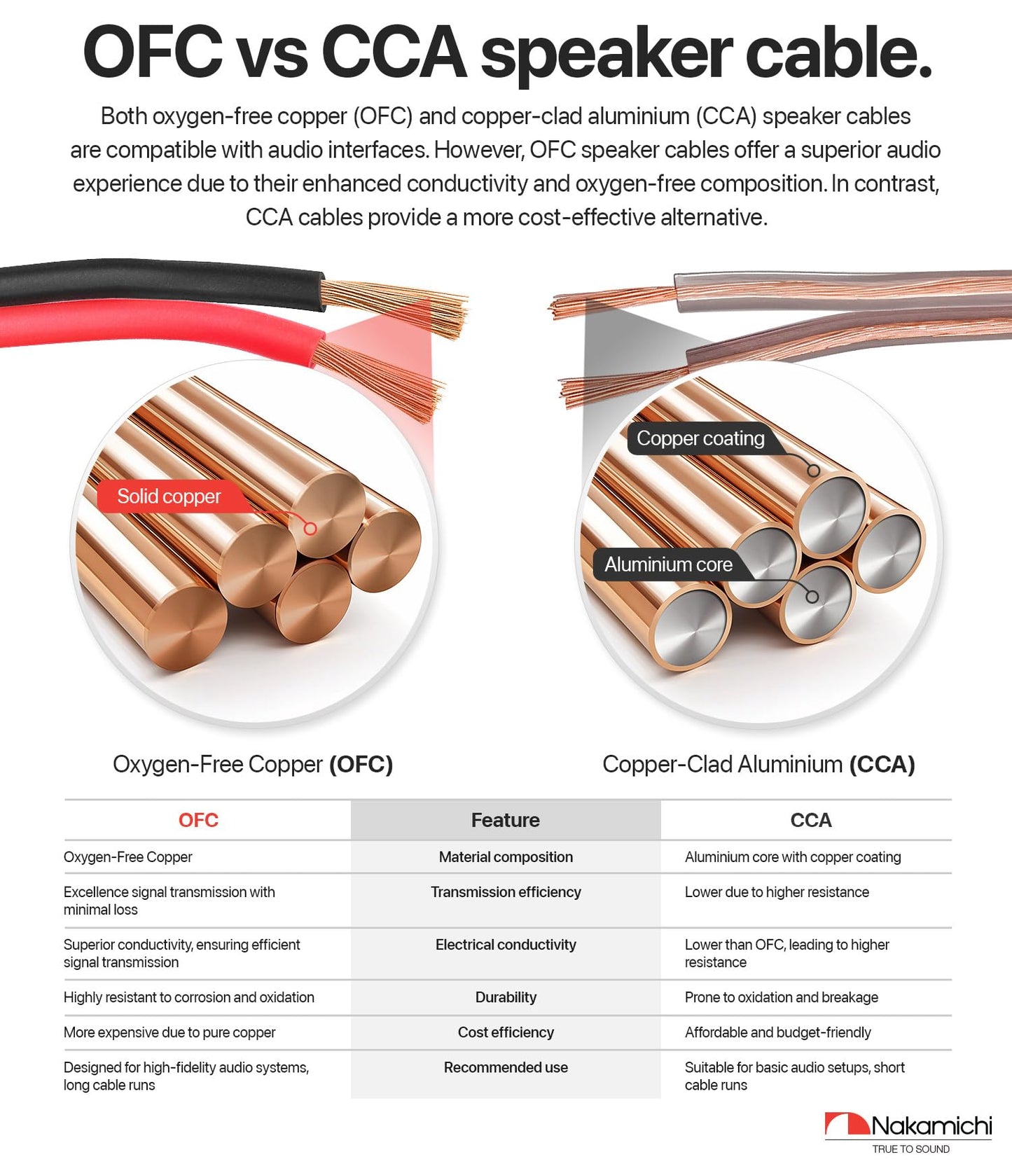 Nakamichi 10/2 (100-Foot) in-Wall & Direct Burial (UL CL2 CL3 Rated) Oxygen-Free Copper (OFC) 2-Conductor Speaker Cable Wire, Outdoor In-Ground, in-Ceiling, Riser, Black (10AWG / 100ft / 30.48m)